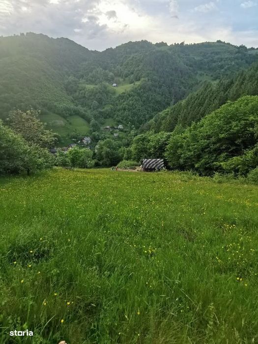 Teren intravilan 12 ari zona Mitocul Dragomirnei Suceava