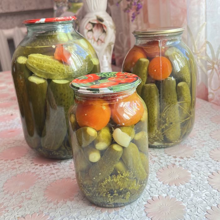 Соленья домашняя