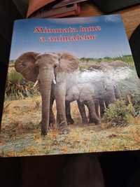 Cartea Minunata lume a animalelor