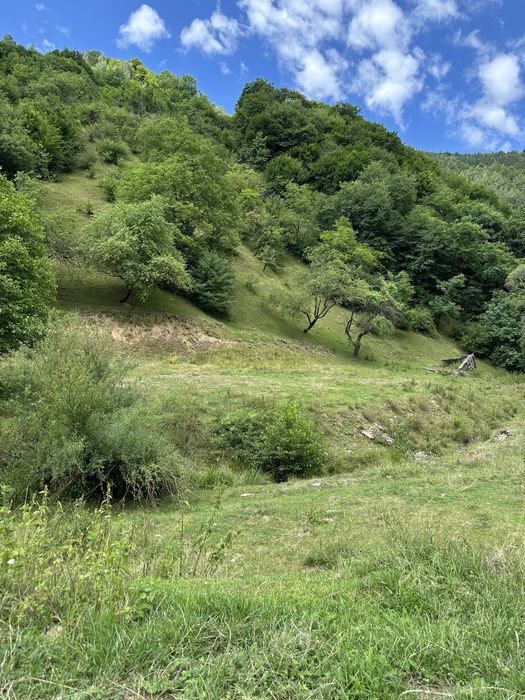 Vand 8534 mp teren in Rasinari Valea Stezii  (Valea Strambului)