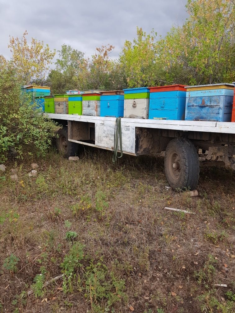 Прицеп пчеловодческий