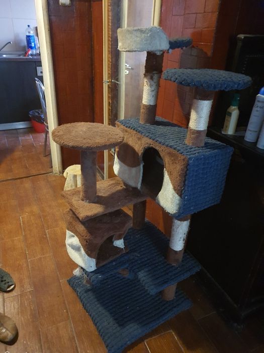 Vand sisal putin folosit