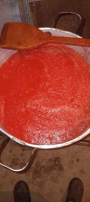 Zacusca taraneasca si preparate de iarna