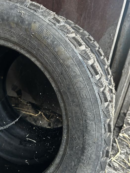 Шины зимние Michelin