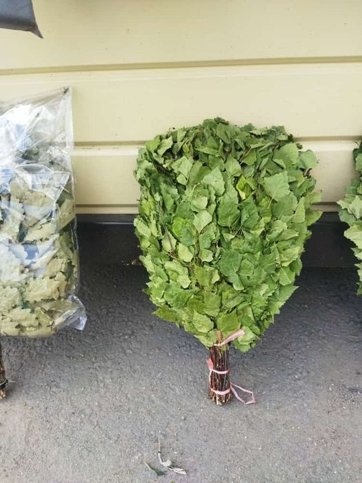 Веники банные, от 1500тг