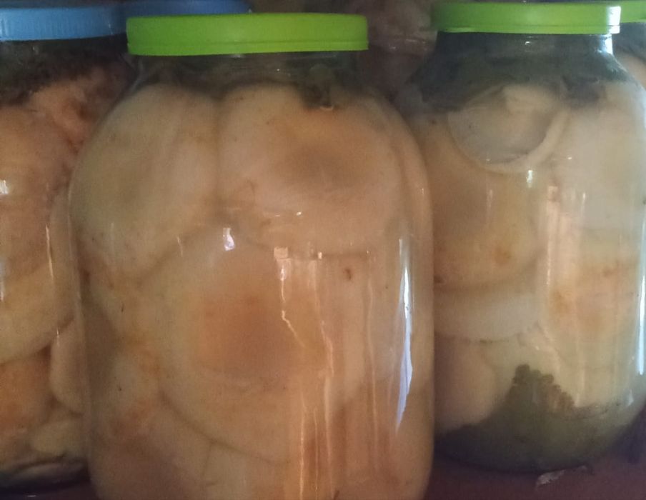 Продам грибы Грузди