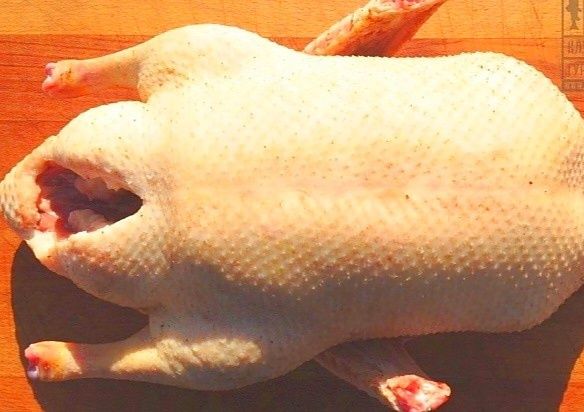 Продам тушки домашних гусей!