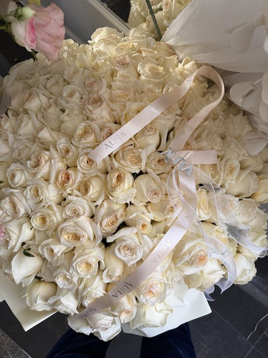 Свежый гулдер бар өте улкен