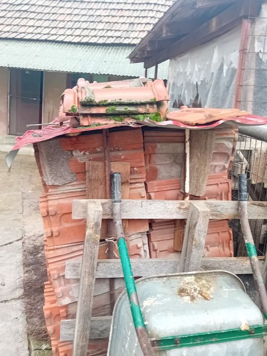 Vând  Tigla  la 50 bani