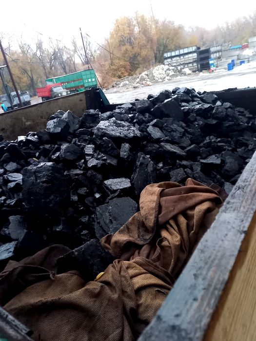 Уголь Кара Жыра Сортовой