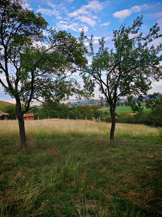 Teren de vânzare Vurpar