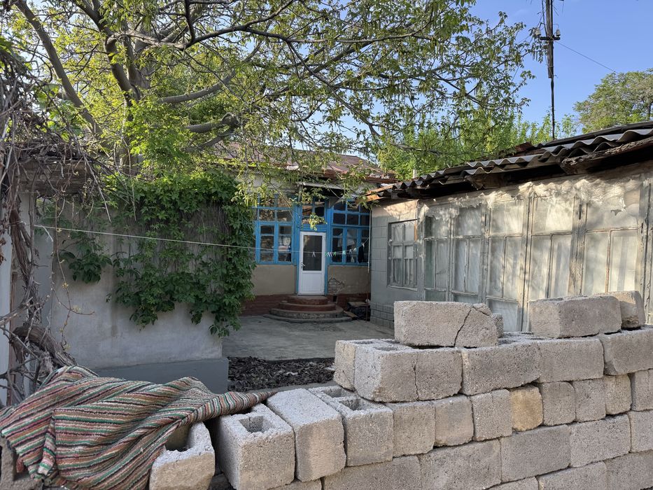 Sibirki kuchasidan xovli sotilyapti