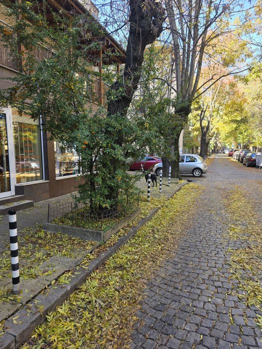 Магазин под наем