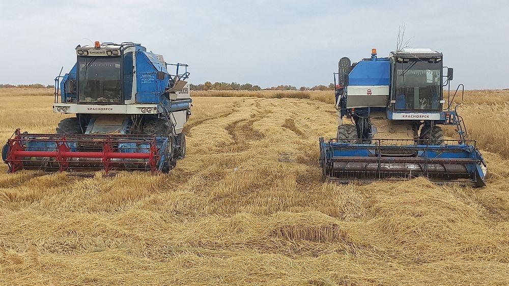 Енисей канбайинлар сотилади