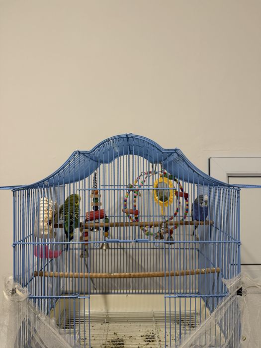 Сатылады килеткасымен бирге келисим бар