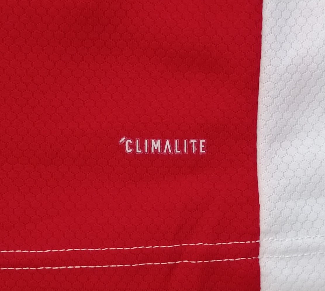 Adidas Ajax Amsterdam 2019/20 Home Jersey тениска S Адидас Аякс футбол