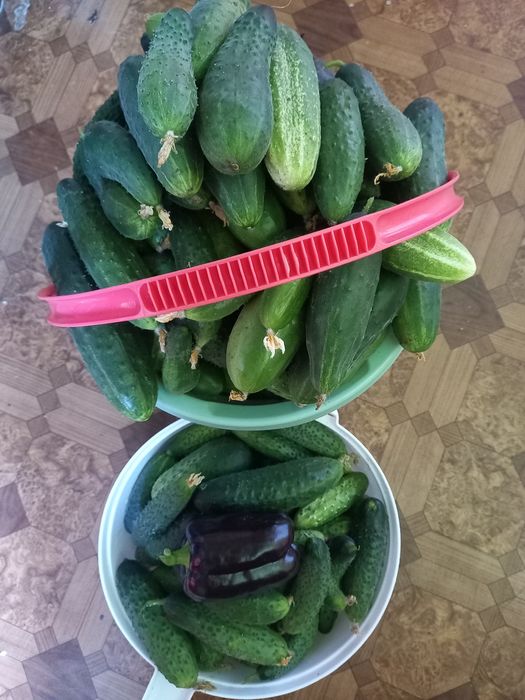 Продам дачу (зимний вариант)