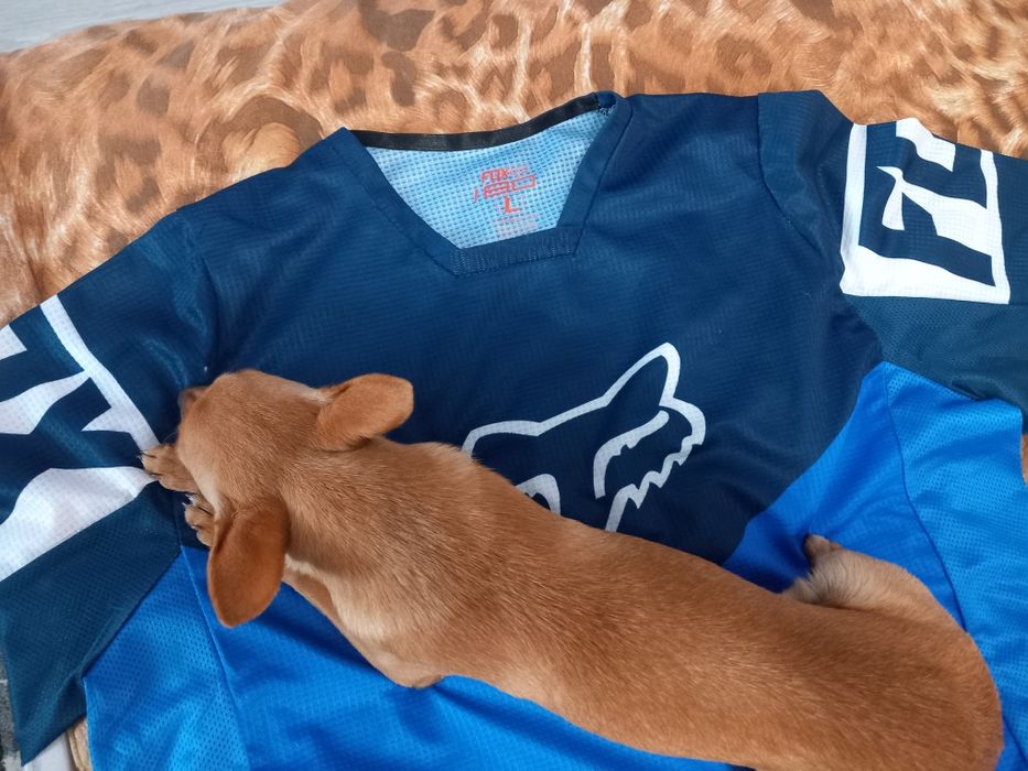 Мото екип Фокс М - L размер за младеж