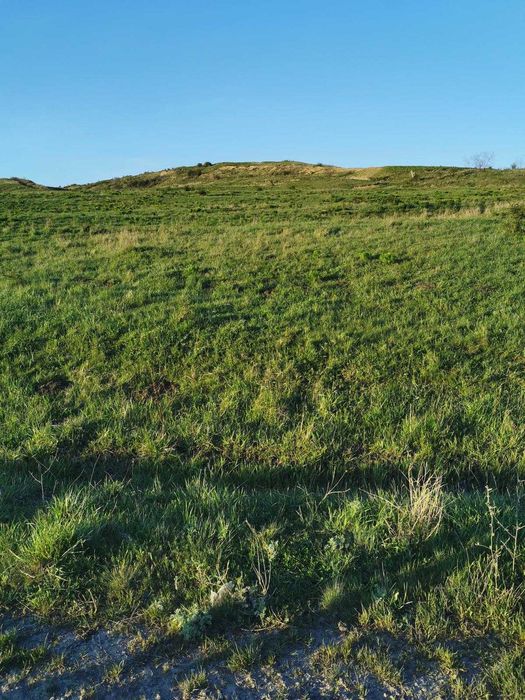 Teren intravilan, Chinteni . Zona Campenesti