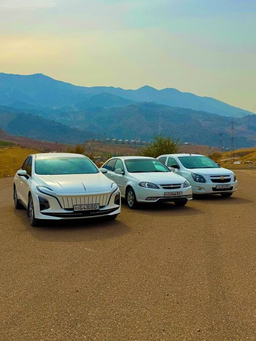 Экскурсии из Ташкента в горы в Туры