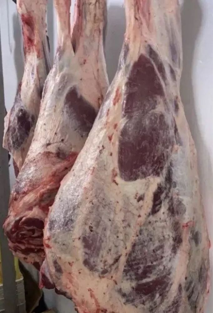 Говядина Бычок мясо Тушами оптом высший сорт