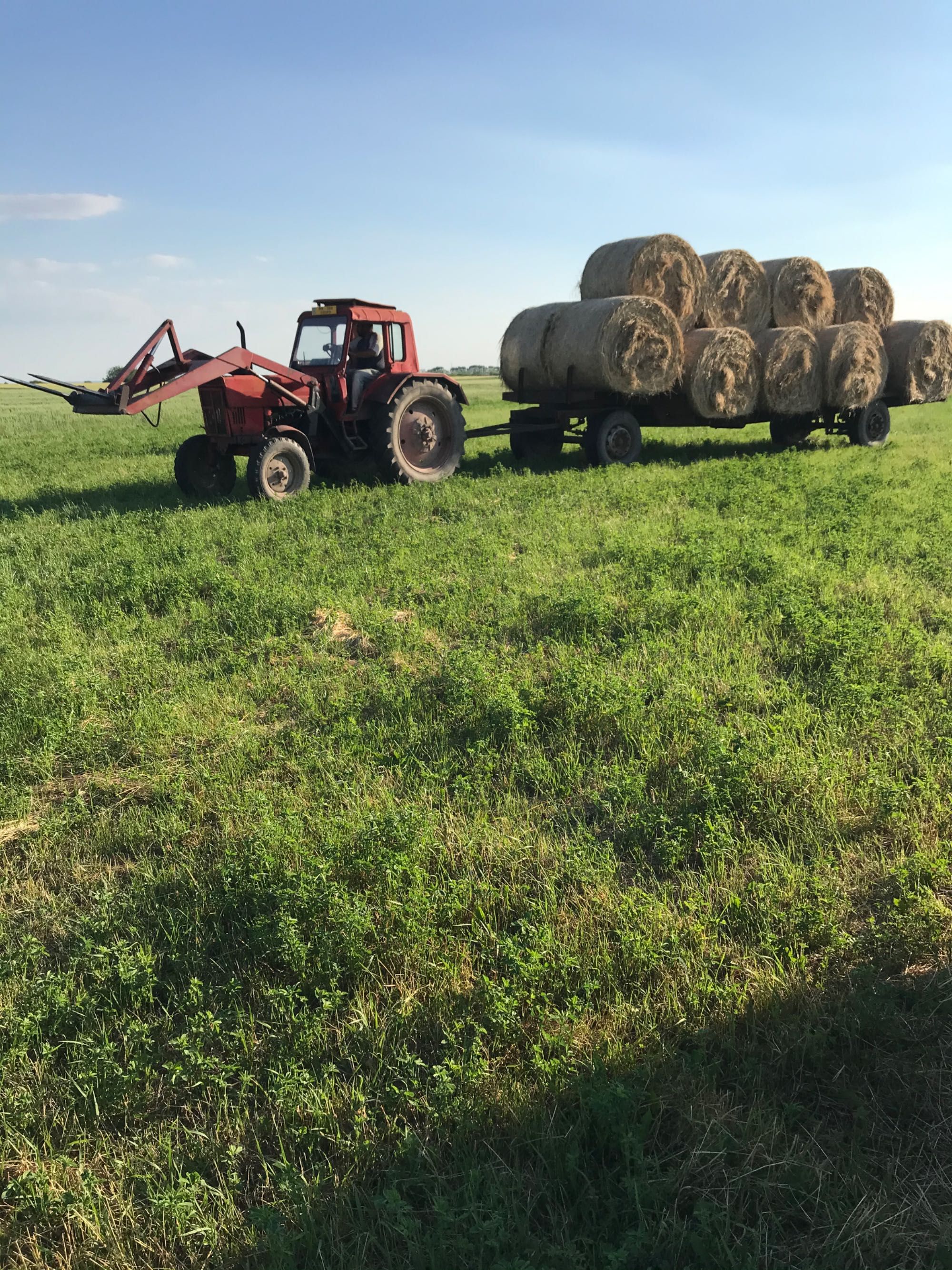 Belarus Mtz 80 cu încărcător frontal!