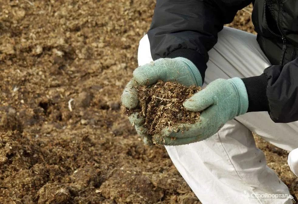 Куриный Помет (удобрение