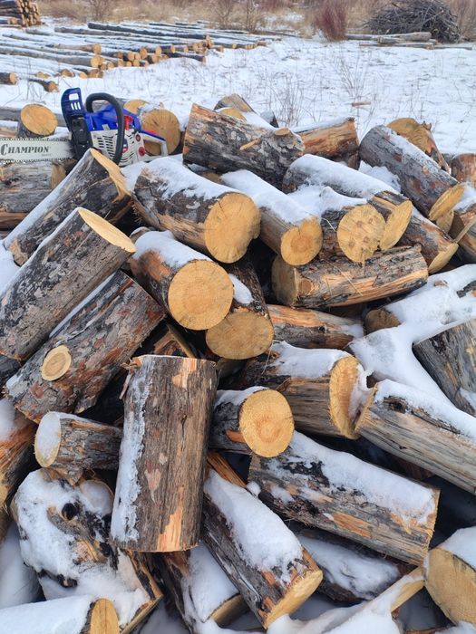 Продам чуркованные дрова