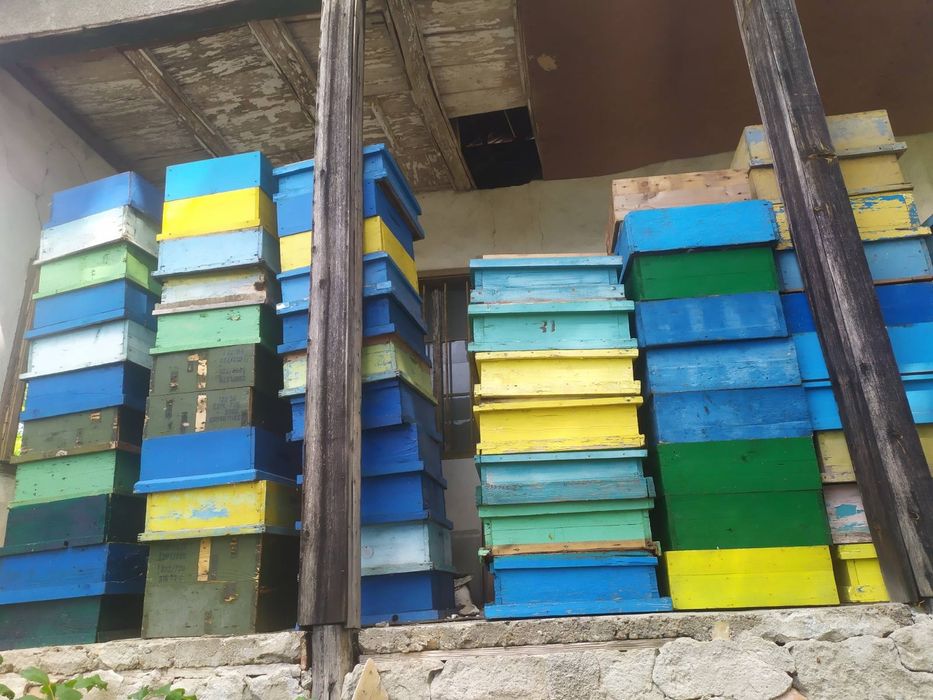 Пчелни магазини 12 рамкови