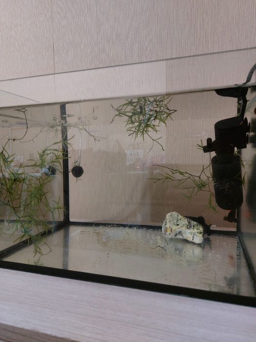 Продам аквариум в хорошем состоянии