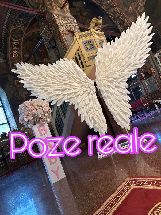 Aripi de inger disponibile pentru inchiriat