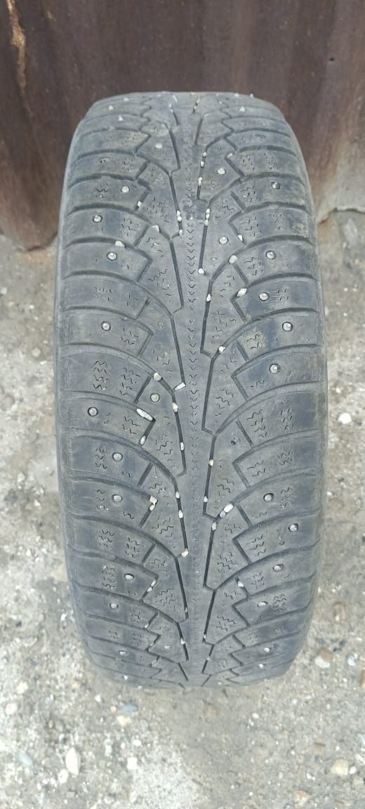 Зимние автошины Triangle