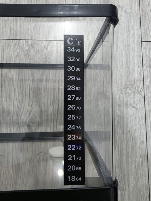 Acvariu pesti cu pompa de oxigen si incalzitor apa