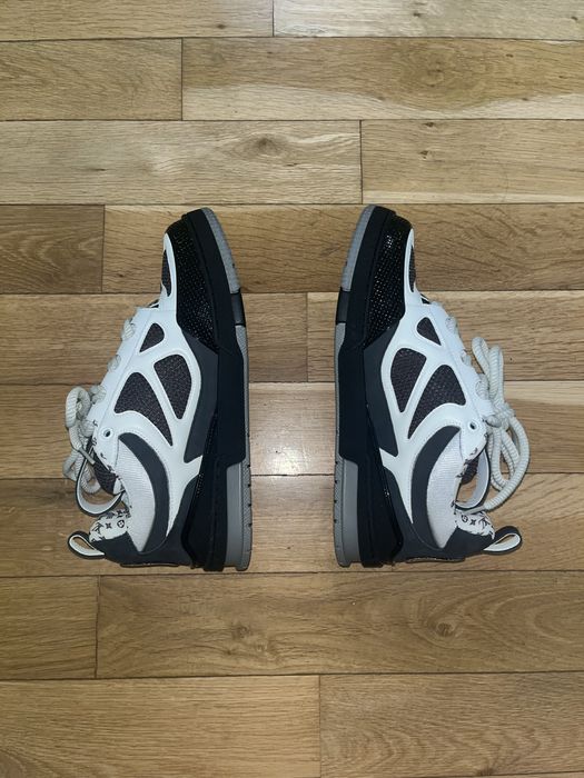 Louis Vuitton skate shoes