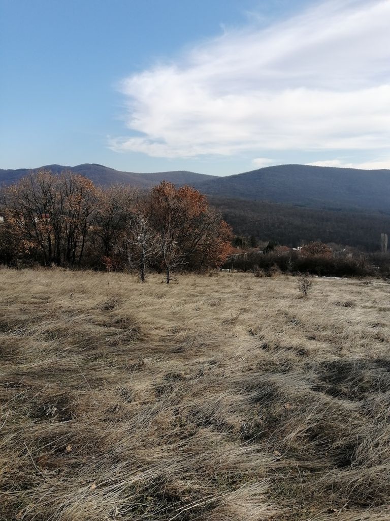 Продава се Парцел в с. Пряпорец, Област Стара Загора - 4800 кв.м за 11 €/кв.м - Снимка #1