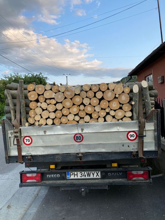 Vând lemne pentru foc fag.