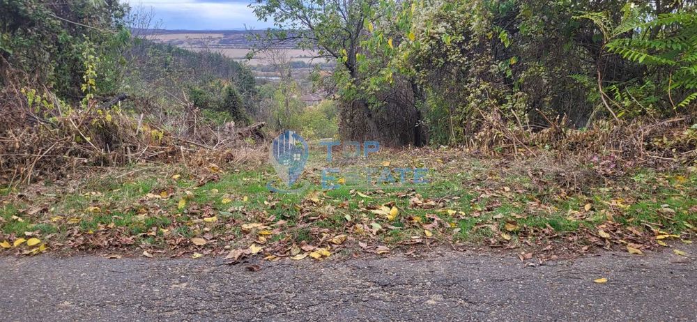 Продава се Парцел в с. Вишовград, Област Велико Търново - 2100 кв.м за 8 €/кв.м - Снимка #10