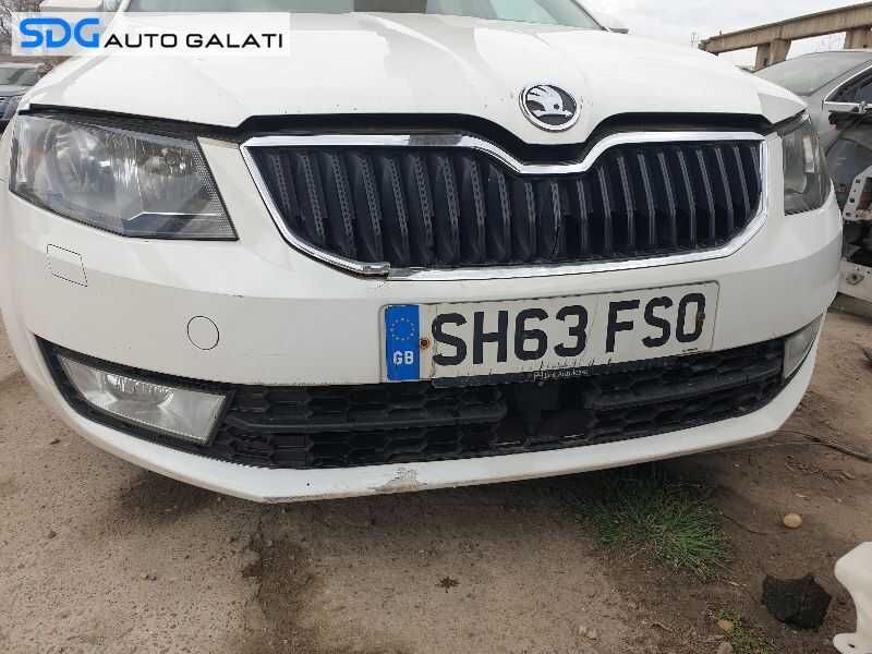 Ornament Grila Inferioara Cu Locas Distronic Skoda Octavia 3 2013 - 2017 [0327]