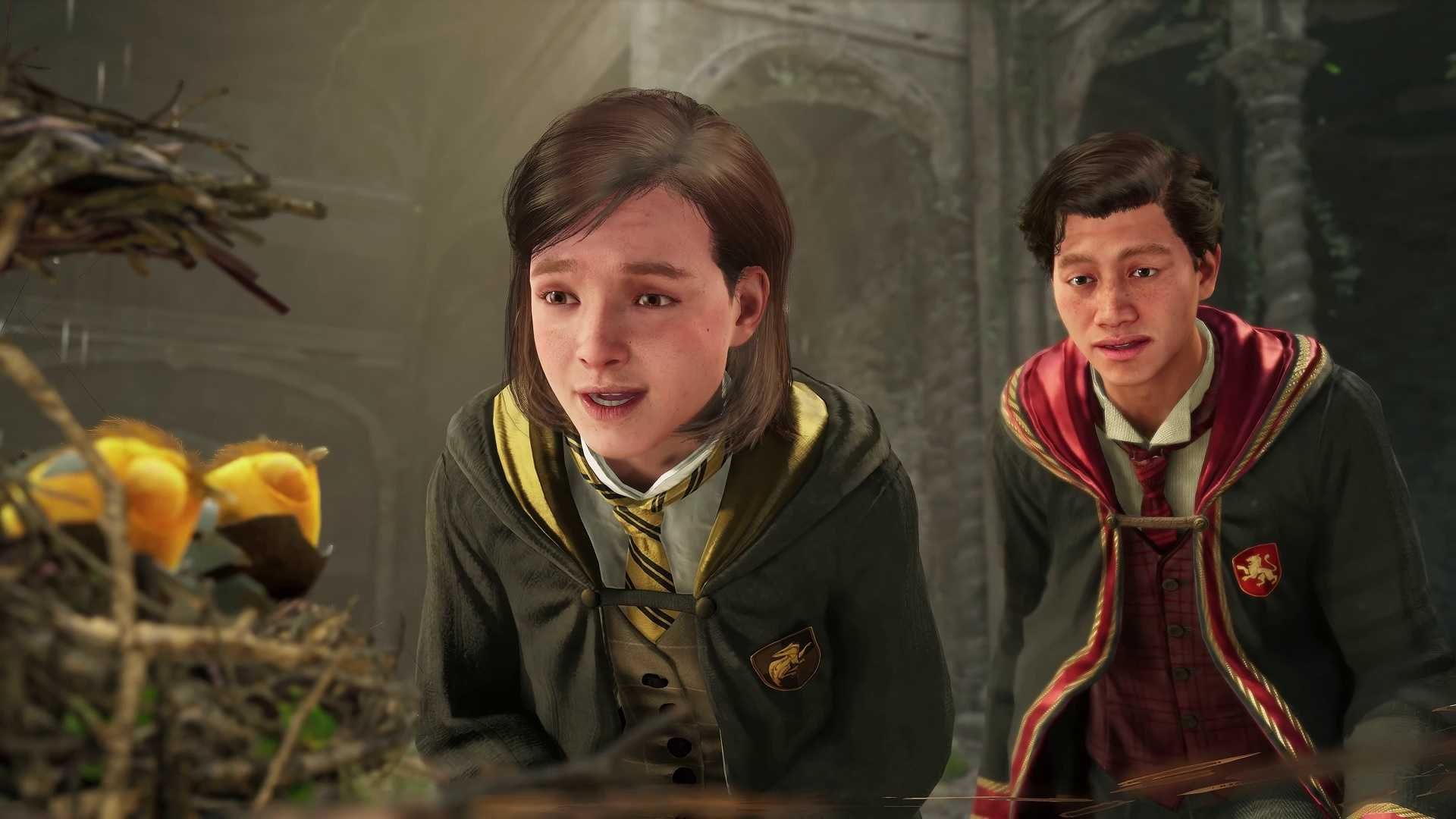 Hogwarts Legacy Deluxe Edition на PS4 и PS5