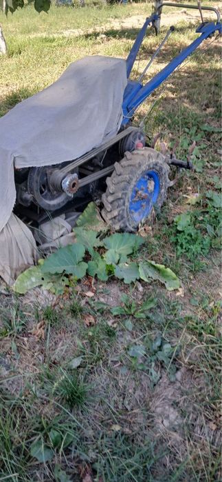 traktor mini b/u qogani telda