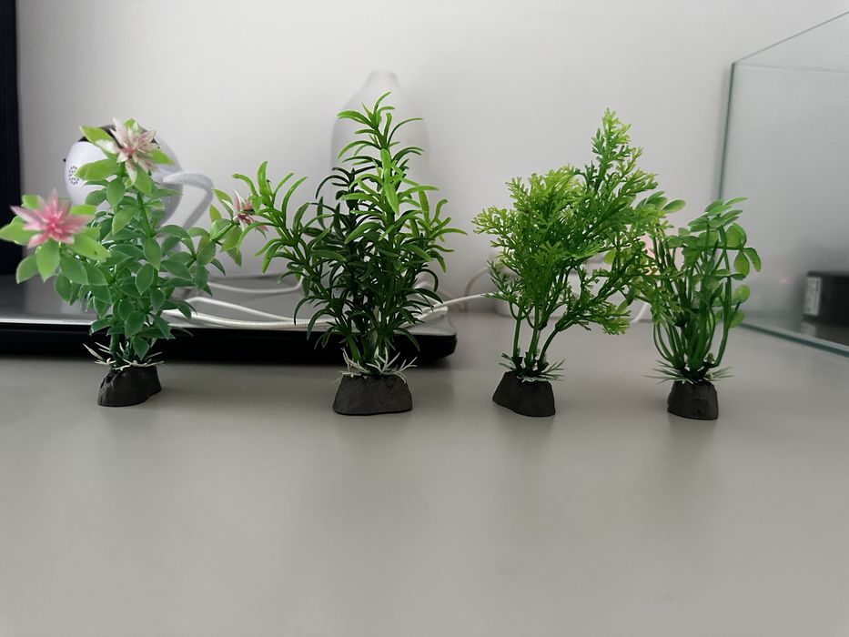 Acvariu 40 L + accesorii