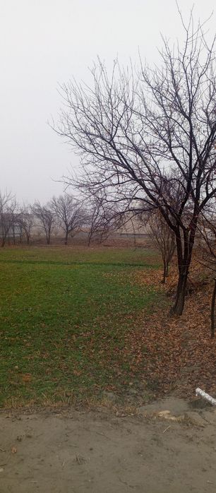 Ховли ,ер мойдони 26 соток.