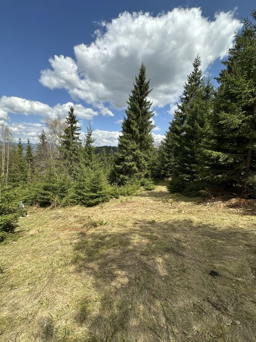 Teren Extravilan 6.651 mp