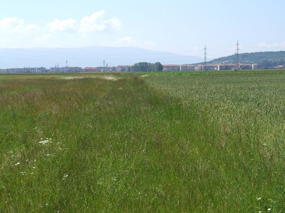 teren Orăștie C.T.Zona, spre Pricaz