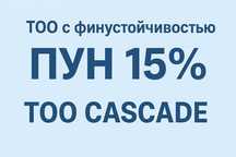 ТОО с финустойчивостью ПУН - 15%.