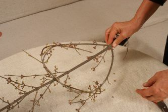 Дрянови клонки .