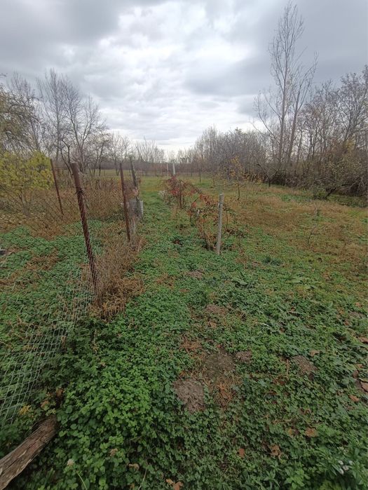 OPORTUNITATE! Casa de vanzare + teren in comuna Sacadat, Bihor