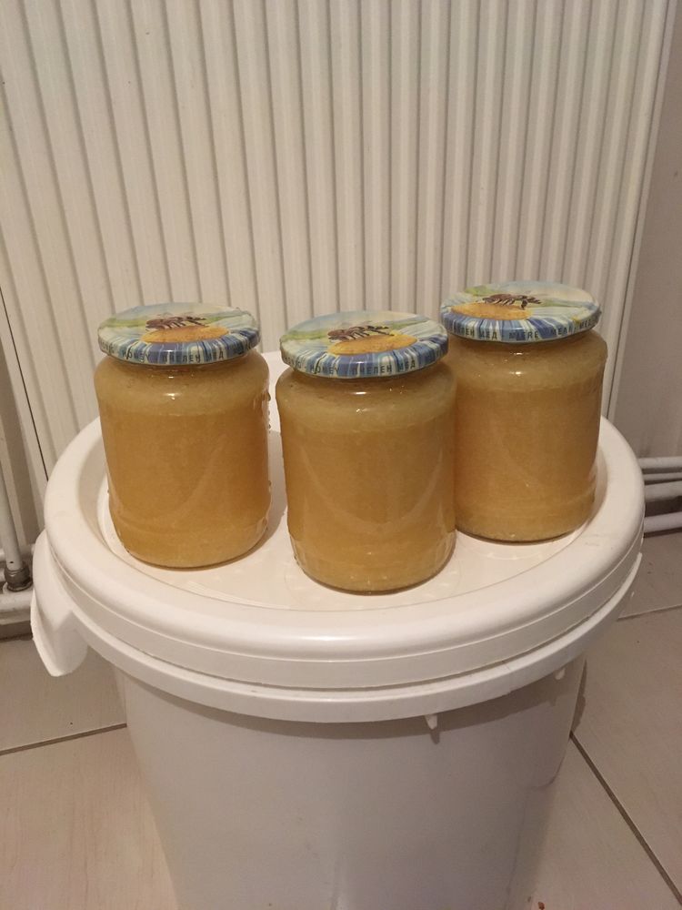 Ceara albine , stupi