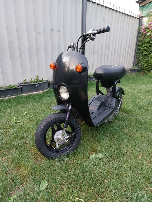 Suzuki  choinori