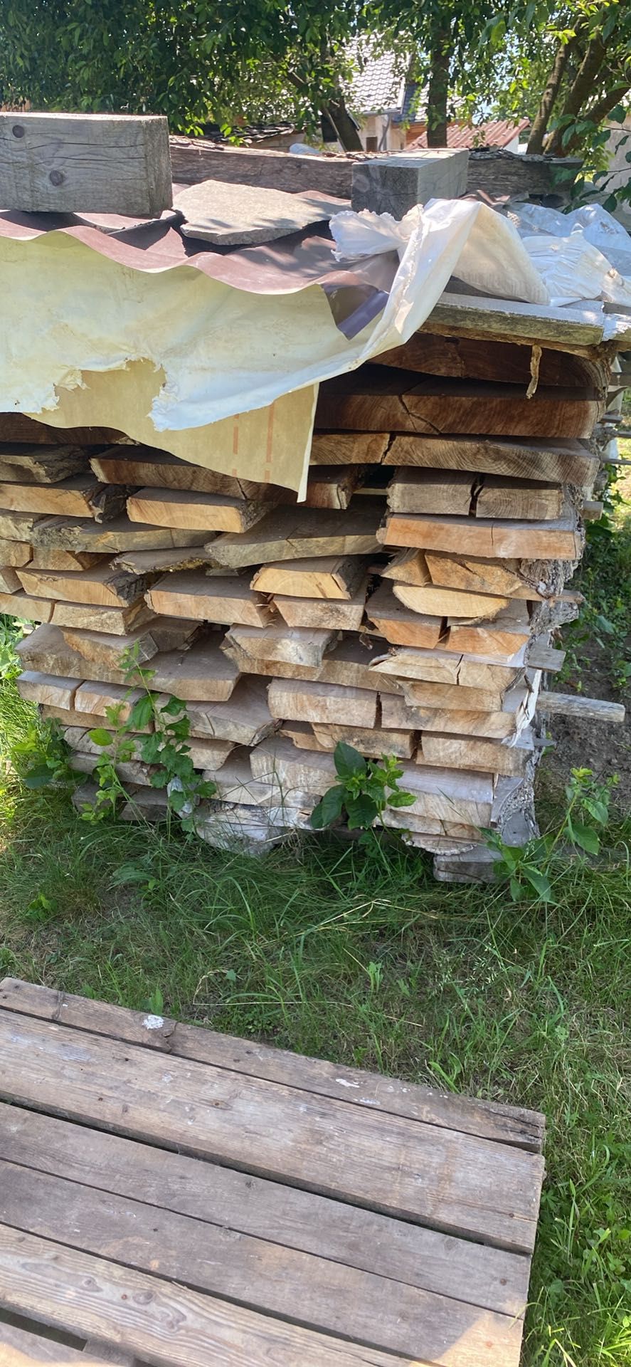 Poștă din tei și dud